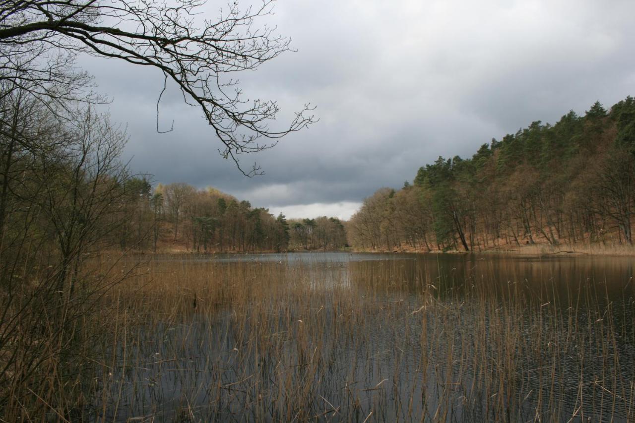Ustronie Lesne 2 Villa Wisełka Exteriör bild