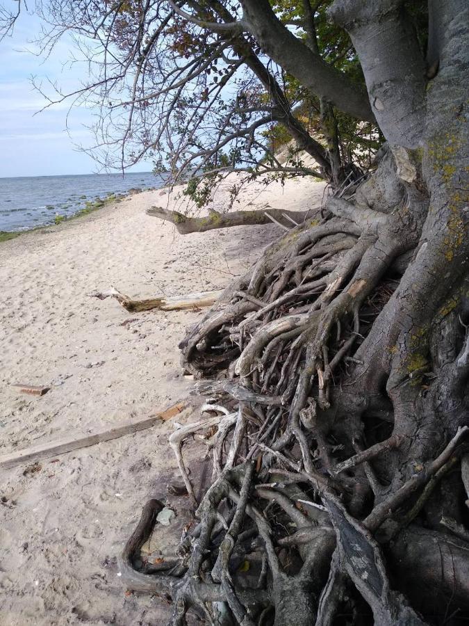 Ustronie Lesne 2 Villa Wisełka Exteriör bild
