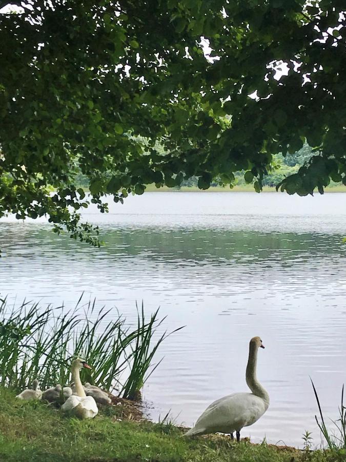 Ustronie Lesne 2 Villa Wisełka Exteriör bild
